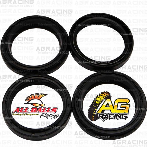 Kit guarnizioni olio polvere - olio,